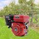 4stroke Petrol Engine 7.5hp Gas Portable Generator 4000w Motor For Water Pumps