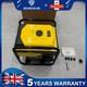 6000w 4-stroke Petrol Inverter Generator 230v Pure Sine Wave Camping Power