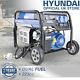 Petrol Or Lpg Gas Generator Electric Start 3200w 3.2kw 4kva Catering Hyundai
