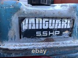 Portable Generator 110/240 V